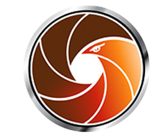 BirdsEye Logo 3.png